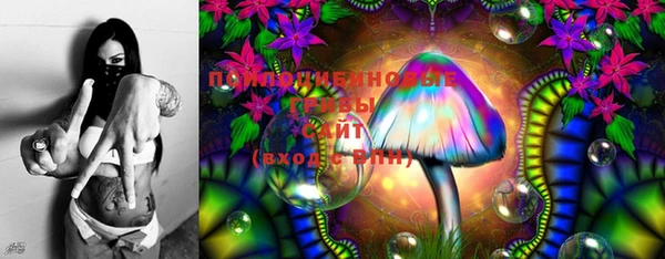 молекула духа Кодинск