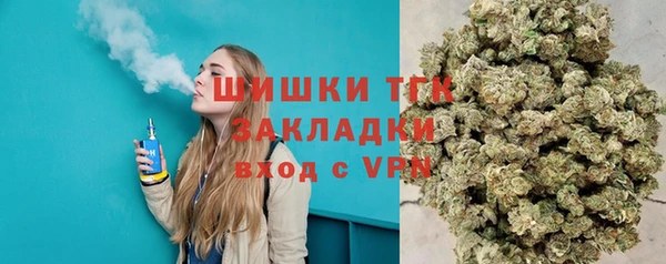 стаф Козельск