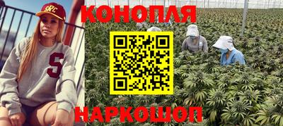 Альфа ПВП Балаково