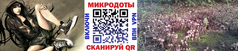 Псилоцибиновые грибы прущие грибы  Черкесск 