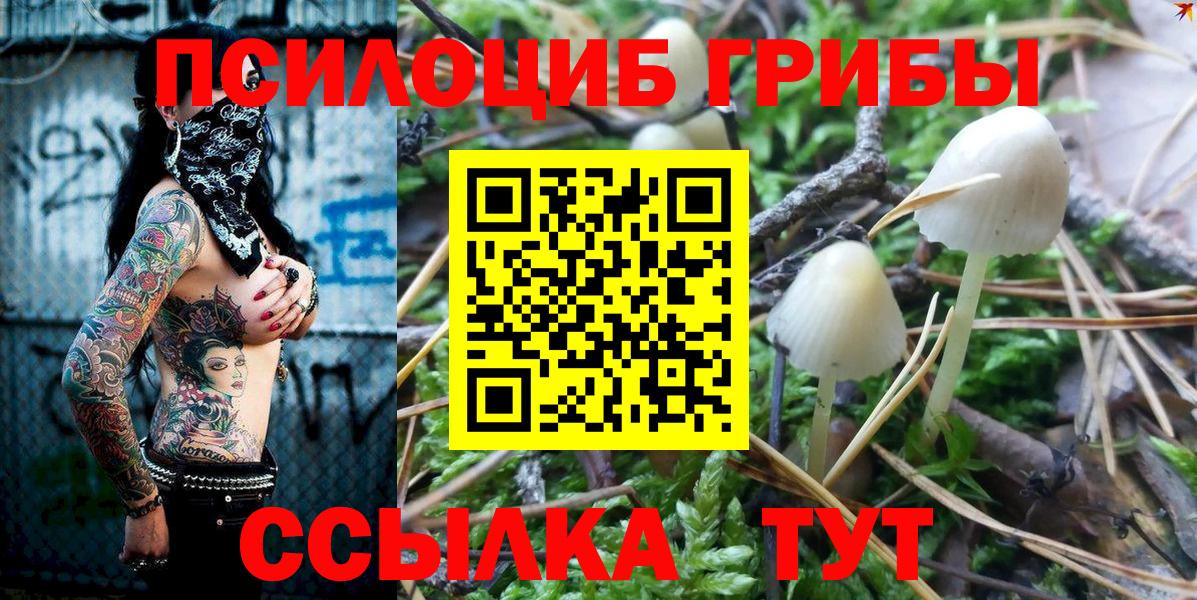 Галлюциногенные грибы мухоморы  Вход с VPN  Черкесск 