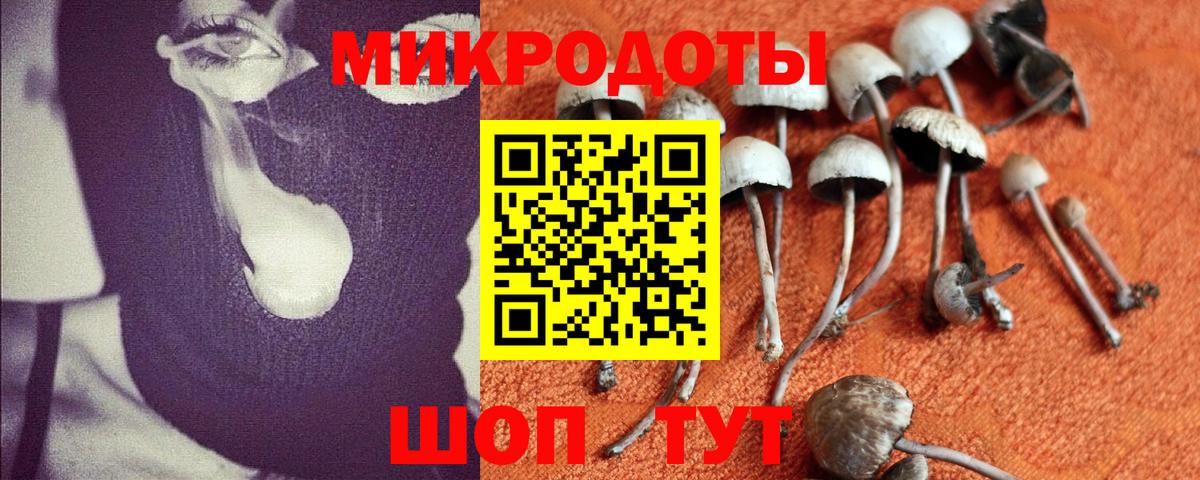 Галлюциногенные грибы ЛСД Черкесск